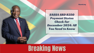 Read more about the article SASSA SRD R350 Payment Status Check for December 2024: All You Need to Know