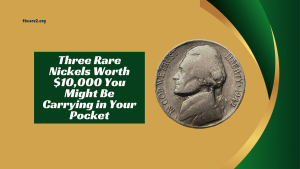 Read more about the article Three Rare Nickels Worth $10,000 You Might Be Carrying in Your Pocket